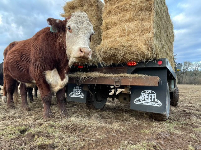 Heffer and Classic truck with Eat Beef 24x30 mudflaps installed