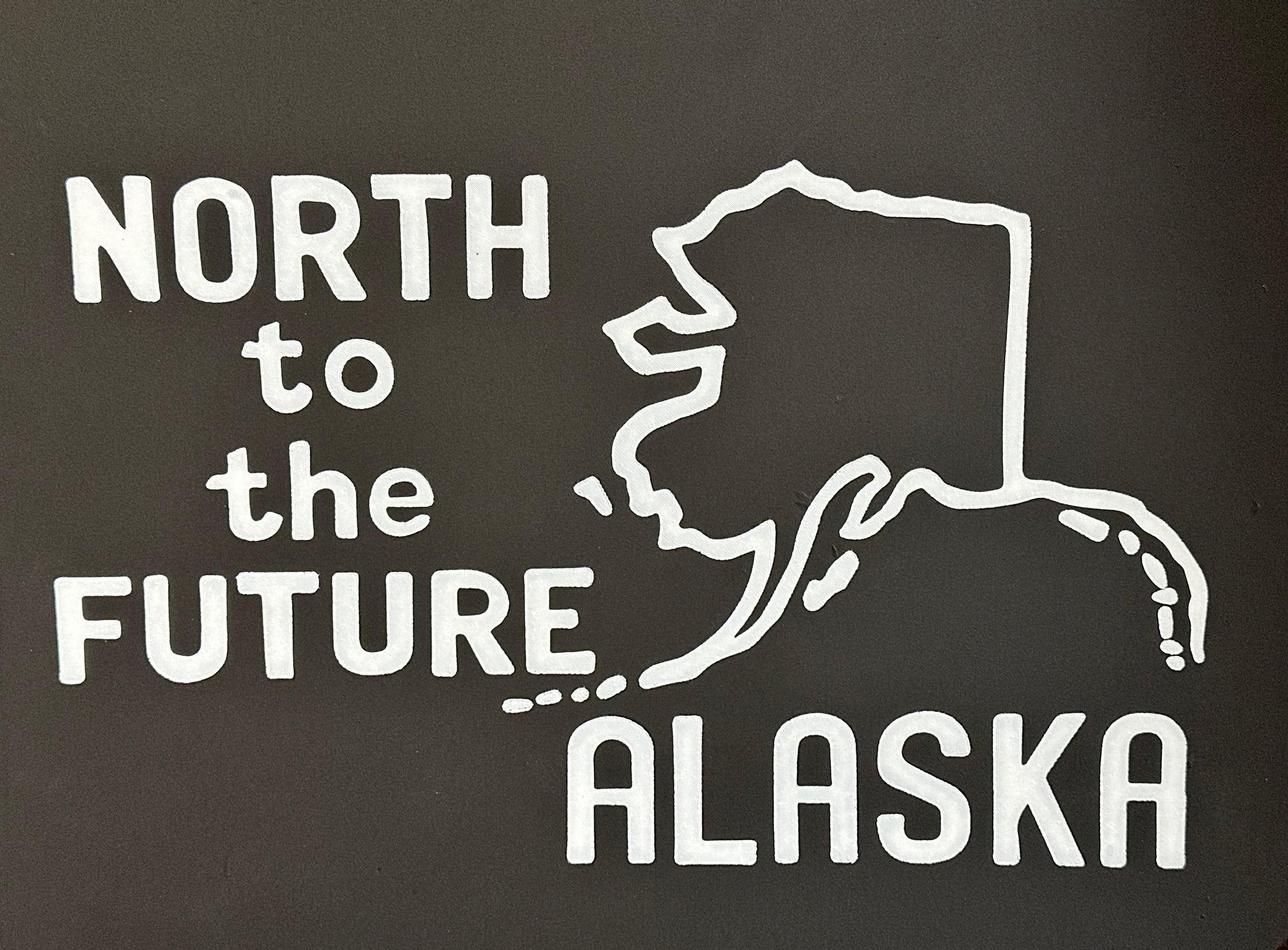 Close up of Vintage inspired Alaska North to the Future wide mudflaps